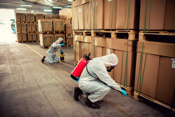 Best Flea Control Services  in Rowland, NC