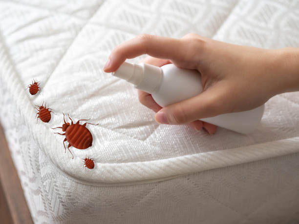 Best Emergency Pest Control  in Rowland, NC
