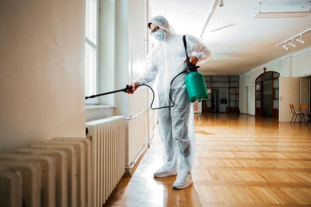 Wasp Removal Services in Rowland, NC