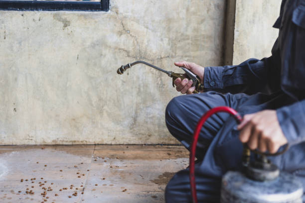 Best Emergency Pest Control  in Rowland, NC